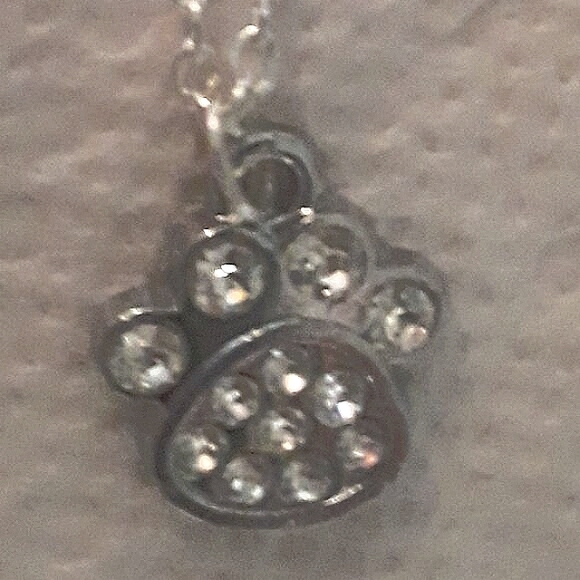 Paw Print Cat Dog Crystal Rhinestones Silver Dangle Pierced Earrings NEW - Picture 8 of 12